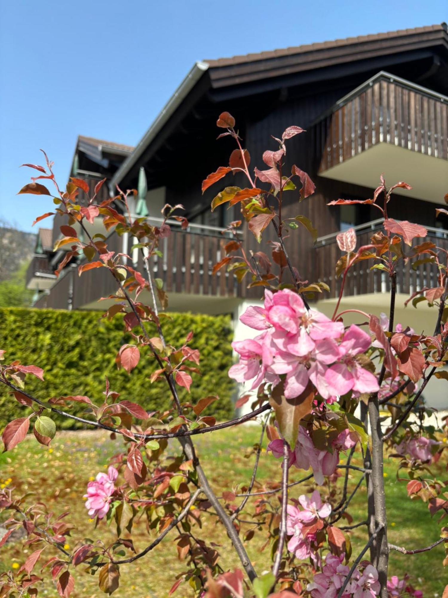 Bader Suites Garmisch-Partenkirchen Eksteriør bilde